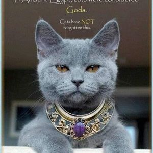 Meet your Posher, Greg